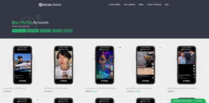 12 Best Sites Buy TikTok Accounts with Followers CHEAP in 2025